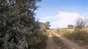 Дорога к сопке Авдошенко.😊