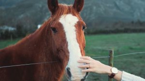 5206827-hd_1920_1080_25fps