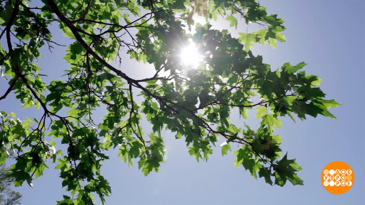 Ну-ка солнце ярче брызни! Доброе утро. Фрагмент выпуска от 27.08.2025