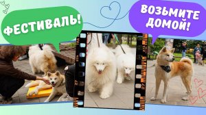 Хочу домой! Мампа вы где?