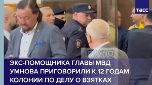 Экс-помощника главы МВД Умнова приговорили к 12 годам колонии по делу о взятках