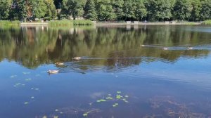 Поездка на Электричке из Зеленоградска в Светлогорск. Прогулка по парку Творчества "Муза"