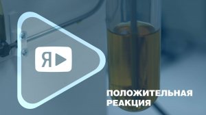 ПОЛОЖИТЕЛЬНАЯ РЕАКЦИЯ / Ямбургские лаборанты радуются новоселью