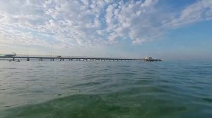 Дельфины каждый день! Витязево, август 2025