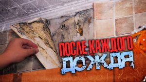 Дети дышат плесенью из-за дырявой крыши