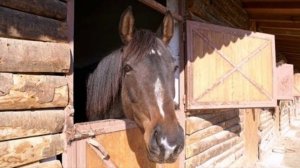 Дом это место где кругом царит полный покой верни мня домой