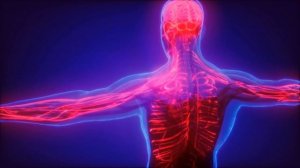 МАТРИЦА по технологии ГАРЯЕВА. Коррекция ОПОРНО-ДВИГАТЕЛЬНОЙ СИСТЕМЫ