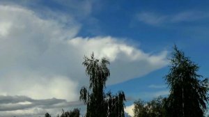 Затухающая конвекция вечером около города Вязники 27.08.2025