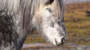 7067842-hd_1920_1080_30fps