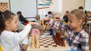 шахматы 2025 в доо 551- Trim