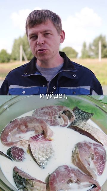 Три «лайфхака» про рыбу, которые лучше никогда не повторять. смотреть онлайн