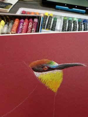 рисую масляной пастелью