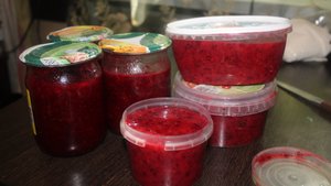 Подготовка к поездке. Брусника и ее переработка