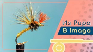 Как сделать эмерджер с paraloop hackle и объяснение сути и работы эмерджеров