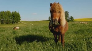 8486963-hd_1920_1080_25fps