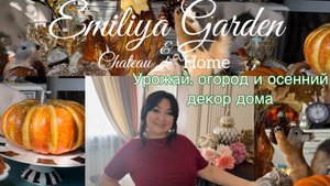 Урожай, огород 🍂и Осенний декор .🐿️