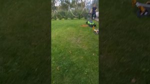 влоги про шашлыки