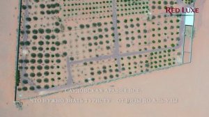 Саудовская Аравия - Все, что нужно знать туристу – от визы до Аль Улы. Red Luxe — умра круглый год