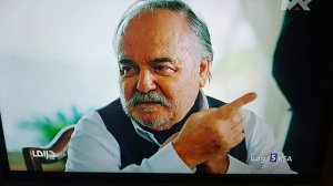 Стамбул 2025. Зимородок на турецком!