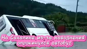 Река вышла из берегов, автобус — в кювет: люди шли по колено в воду, чтобы выжить