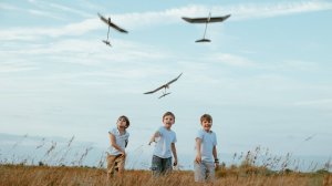 Наборы "Стрела", "Звёздочка 9", "Птичка 7" от "ДеТИ" для самых юных авиамоделистов.