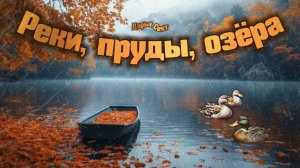 Озеро Нажицы. Орехово-Зуево. Отдыхаем у красивого озера. Август 2025