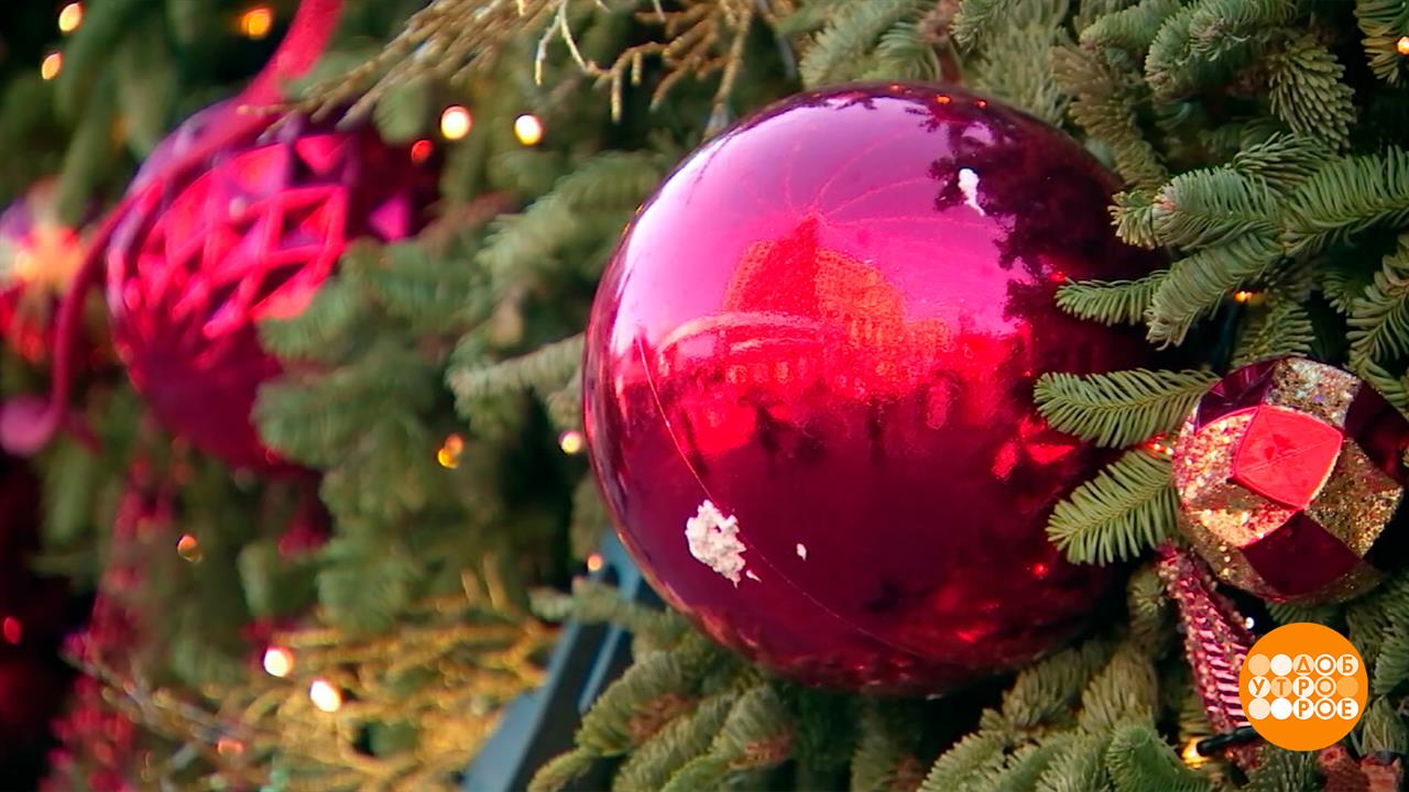 Туры на Новый год: чем раньше, тем выгоднее! Доброе утро. Фрагмент выпуска от 27.08.2025