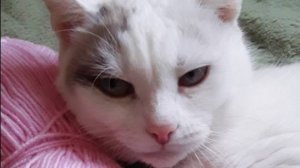 Январь-Маруся-поднимаю себе настроение-архив-16.01.25