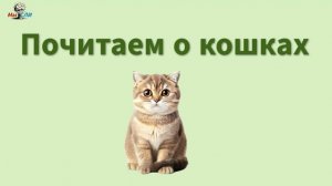 занятие-игра  по чтению . Забрать игру можно по ссылке  https://t.me/MyslisoSvetlanoy