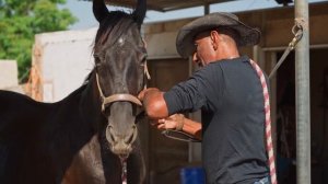 8624807-hd_1920_1080_30fps