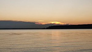 Пляжи Обского моря 🏖️: куча уток 🦆, собачка, красивое спокойствие после заката 🌇. Ob sea ⛵, ducks