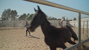 8624892-hd_1920_1080_30fps