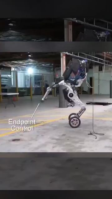 Boston Dynamics     Amazon  Walmart