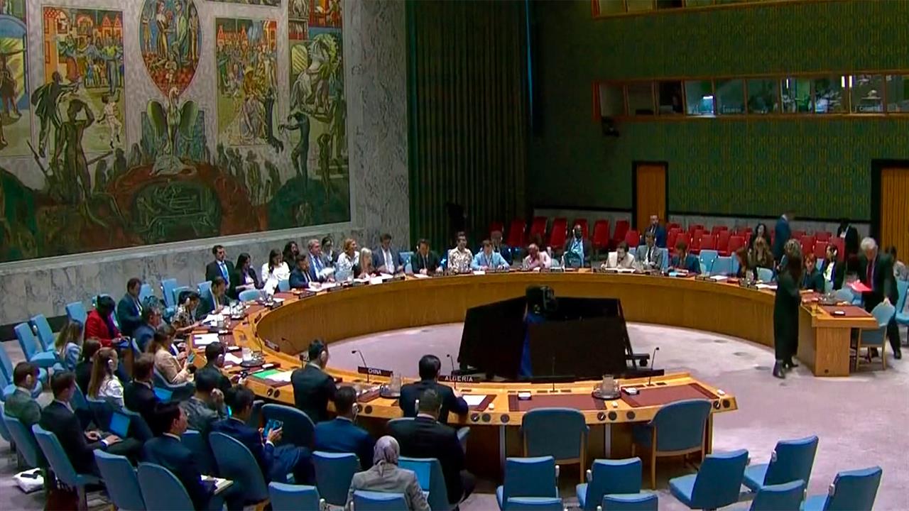 В ООН обсудили задержание в Италии украинца, обвиняемого в подрыве "Северных потоков"