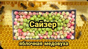 Рецепт приготовления сайзера или яблочной медовухи.