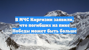 В МЧС Киргизии заявили, что погибших на пике Победы может быть больше