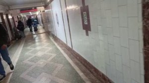 Елене ночью стало плохо к ней не приехал врач, полный беспредел. День бомжа тв