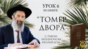 6️⃣ТОМЕР ДВОРА. Урок 6-й. Рав Бенцион Меламед