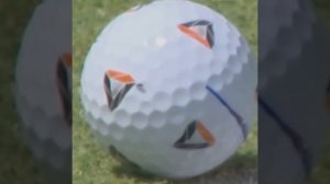 Муха выиграла чемпионат по гольфу BMW Championship