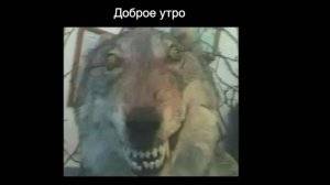 а утра шарит 😎 #крипта