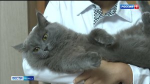 Вести-Томск, выпуск от 27.08.2025 11:30