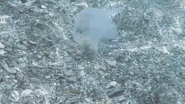 Медитация Защита от энергетических влияний