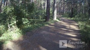Ролик от Еретнова В.Б. В нашем парке. Встреча с белочкой.