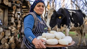 Сыр Курут Из Свежего Коровьего Молока