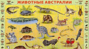 Собираем детский пазл на подложке  "Животные Австралии"