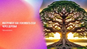 Ченнелинг. Инструмент как усиливать себя через деревья | Ченнелинг Numerorum