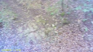 Большое путешествие Новороссийск Поход на Навагир по Кабахаха-Трейл моими глазами