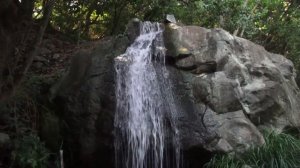 Воронцовский дворец