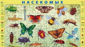 Собираем детский пазл на подложке "Насекомые"