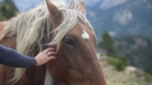 6876681-uhd_3840_2160_30fps